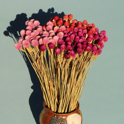 昆明干花千日红客厅装饰书房摆放酒店会议用花开业礼物拍摄道具