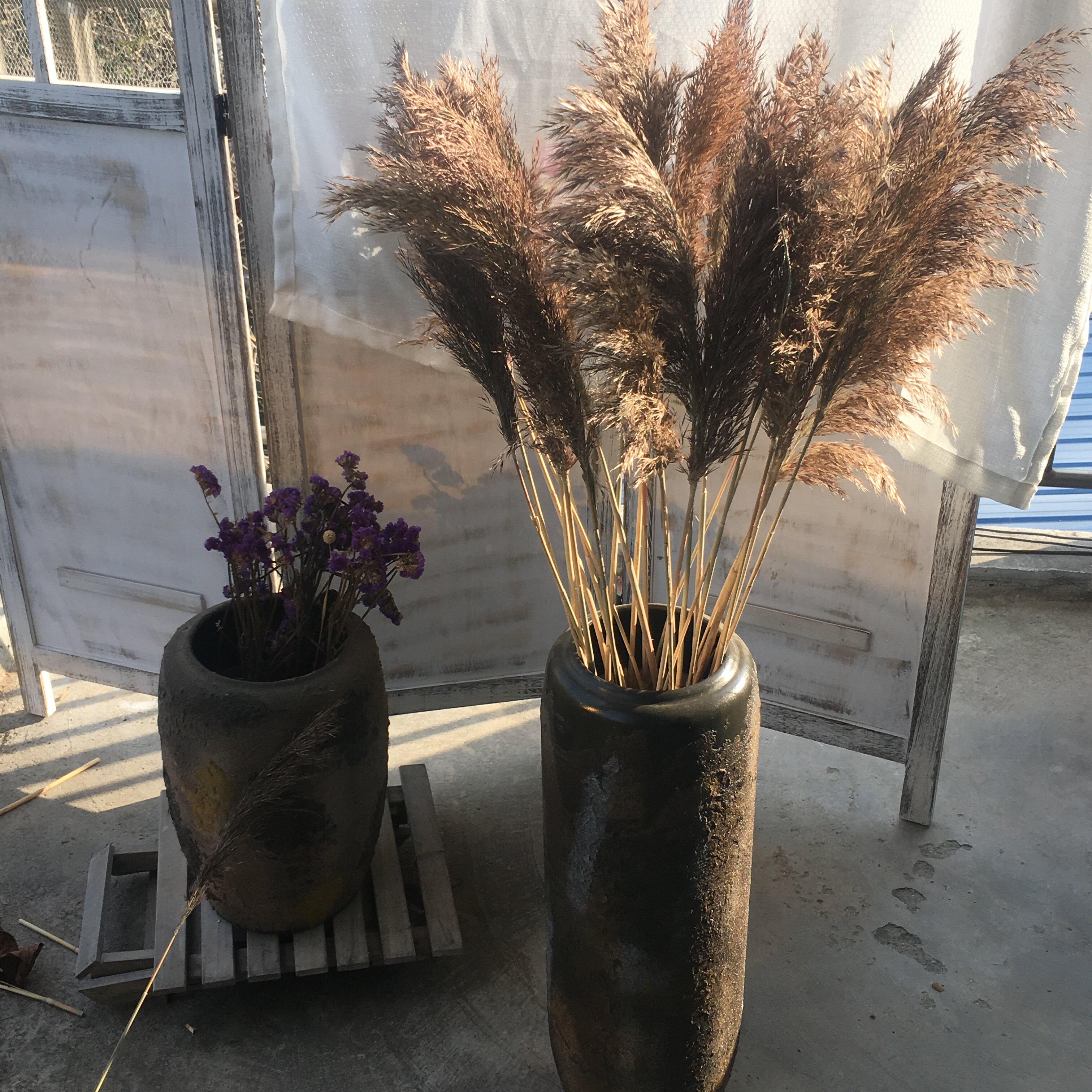 干花束大花束_天然大芦苇干花束蒲苇干花装饰婚庆装饰拍摄道具田园