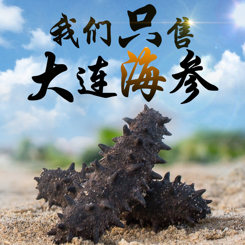 久年大连野生海参刺参50g淡干干货海参9年辽海参礼盒基围虾2019年1月26曰行情图片