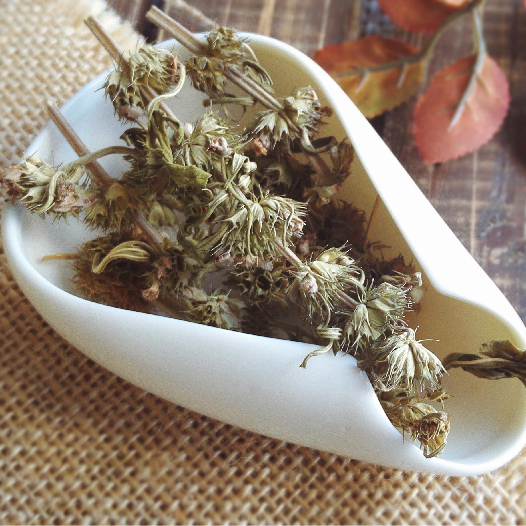 云南益母草500g宜搭特级无硫野生蜂蜜溢母草干