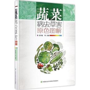 害怕放炮怎么办相关问答