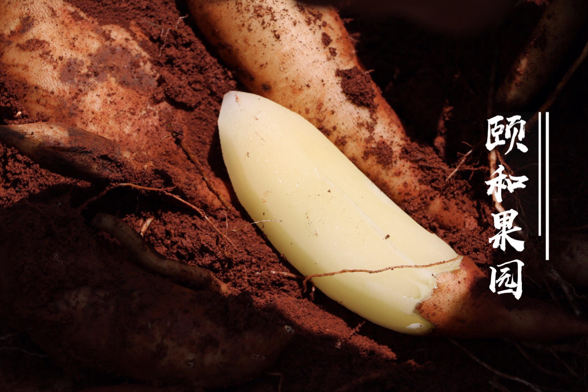 嘉荫县建行信用卡提现【加▲威信Q同号:4957