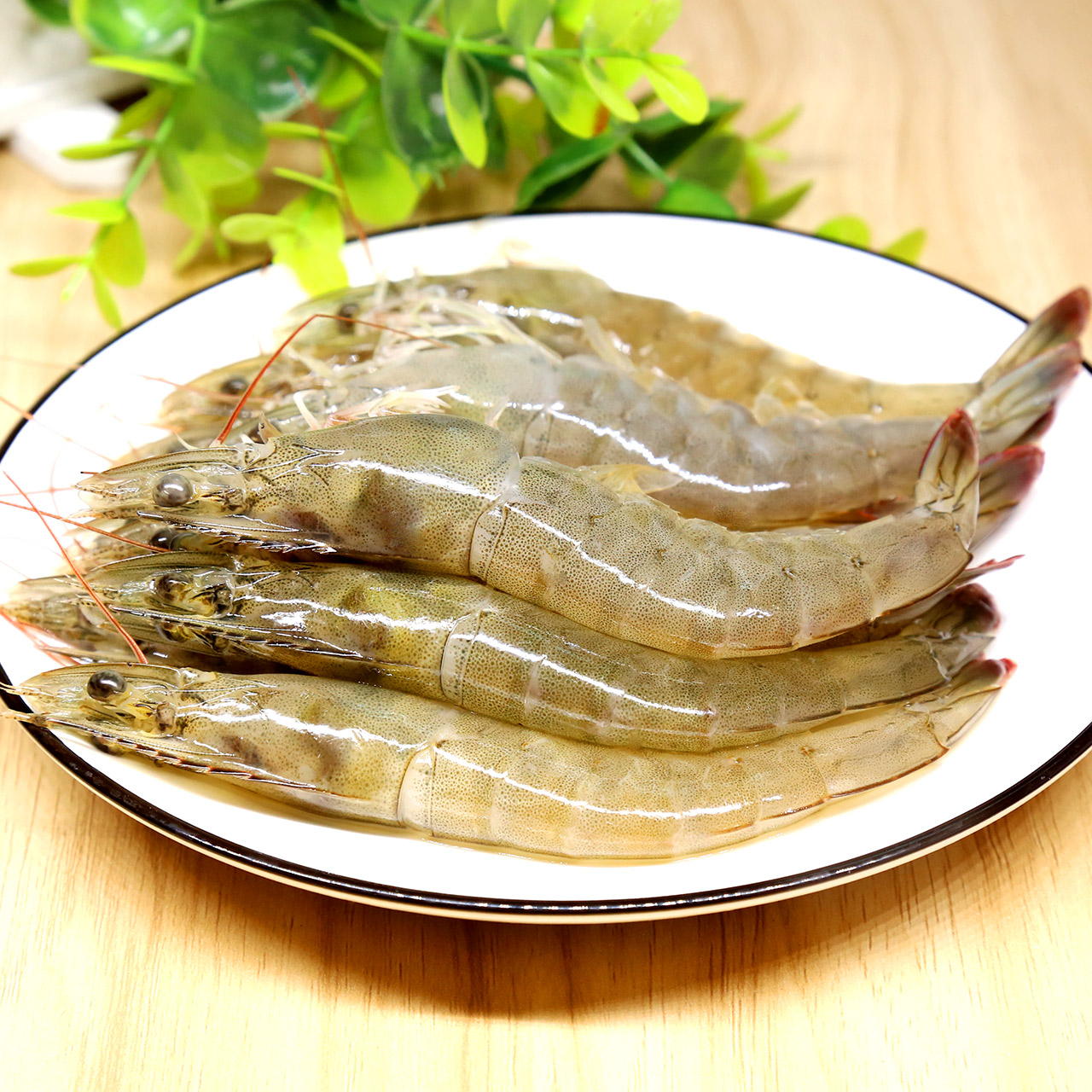 青岛海捕大虾鲜活海鲜水产冷冻发货新鲜对虾青虾14cm