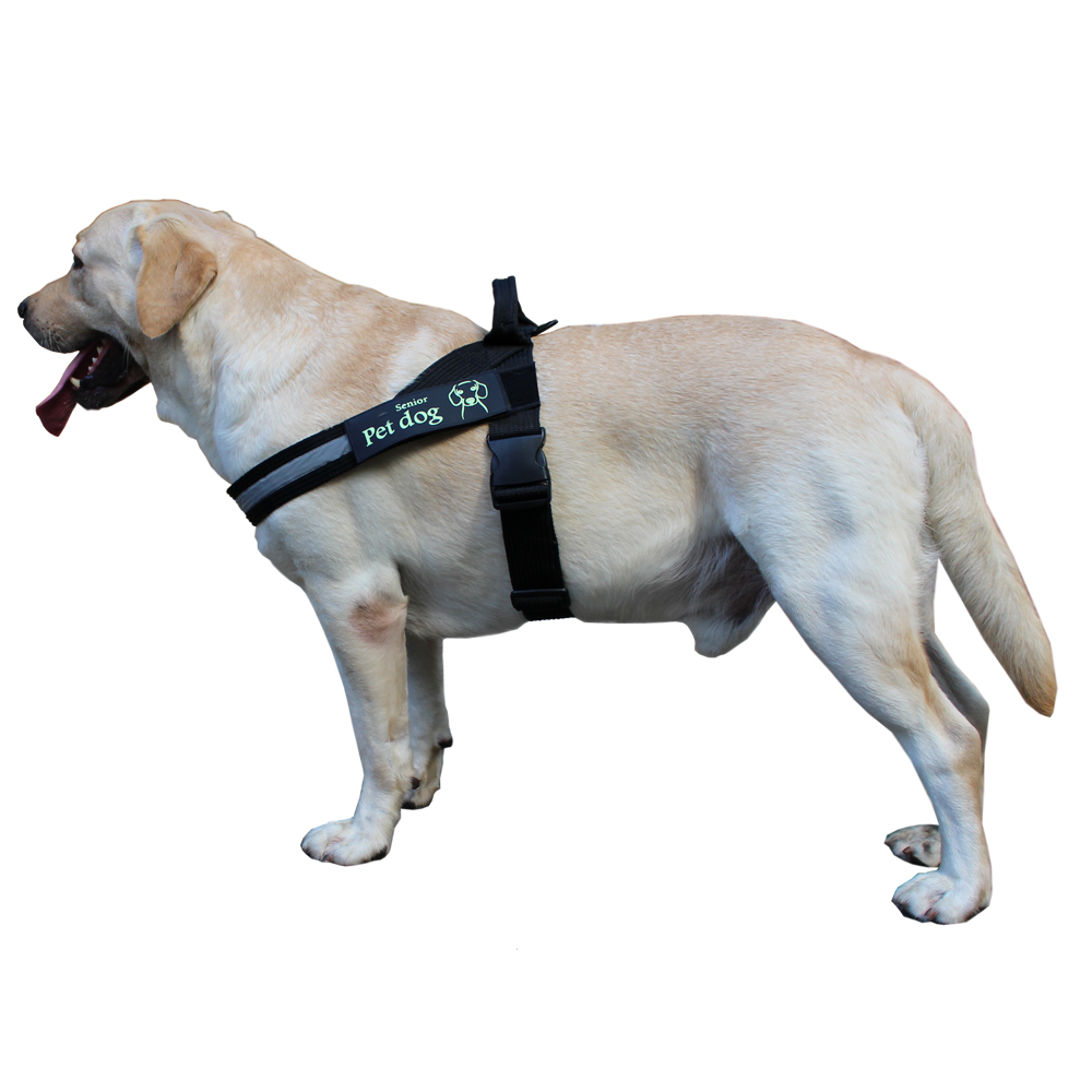 织带加宽加厚 防爆冲狗胸背带 拉布拉多金毛中