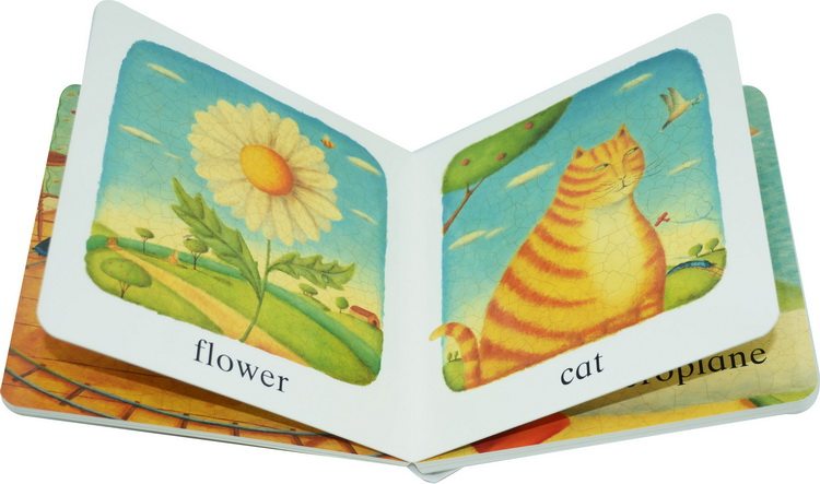 英文原版绘本碎蛋壳画家 alison jays colours/first