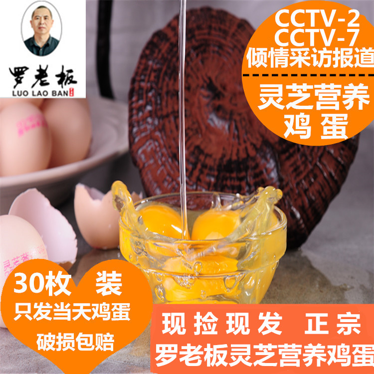 一折鲜鸡蛋_赣南寻乌县正宗罗老板灵芝鸡蛋30枚包邮富硒营养新鲜农家