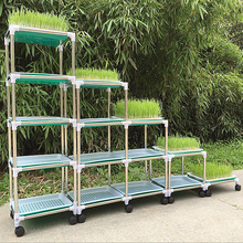 【水培小麦草】最新最全水培小麦草搭配优惠