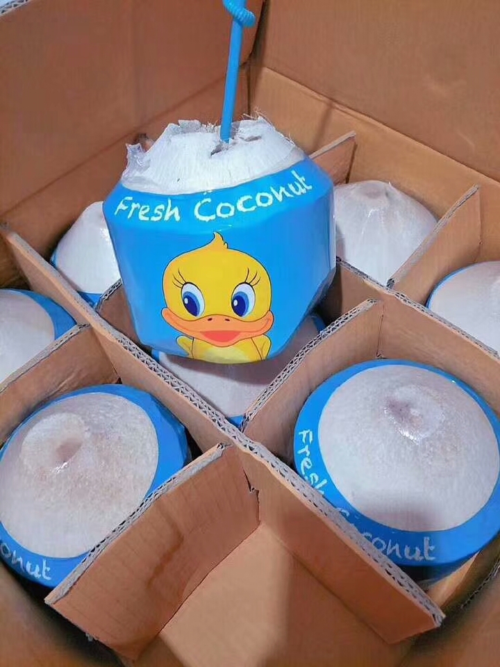 椰青 泰国 包邮9个_怪姑娘泰国小黄鸭进口椰青9个装新鲜热带水果送开