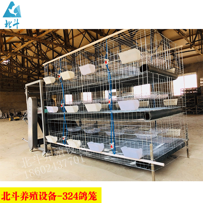 鸽鸡专用传送带清粪机粪带养鸽设备北斗养殖设备41/48