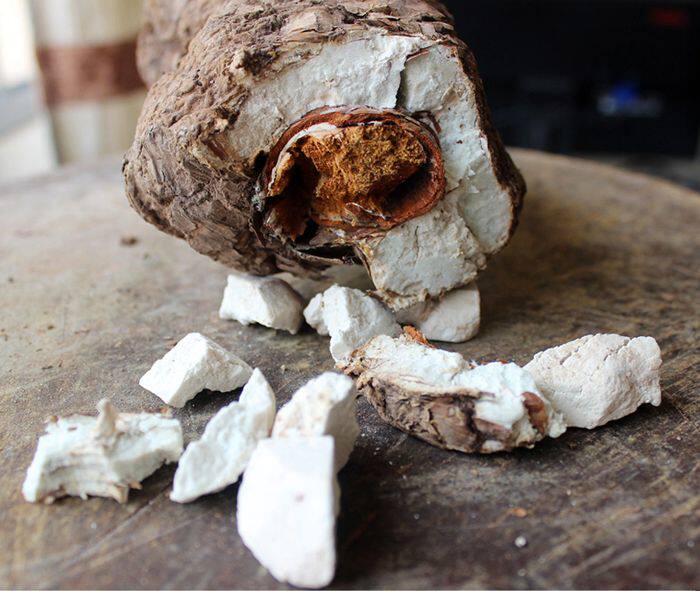 云南茯苓 野生白茯苓