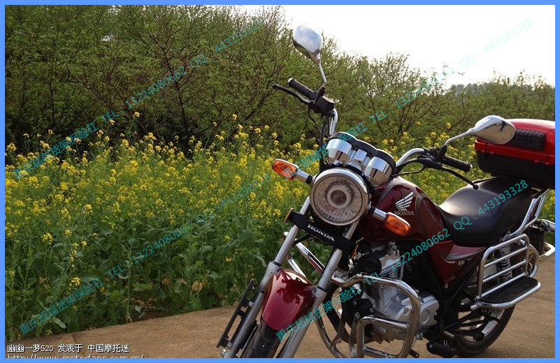 好货如云 五羊统御wh125- 适用摩托车:五羊-本田 颜色分类:大踏板(不