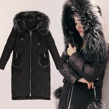 【快鱼官网旗舰店】_快鱼官网旗舰店图片