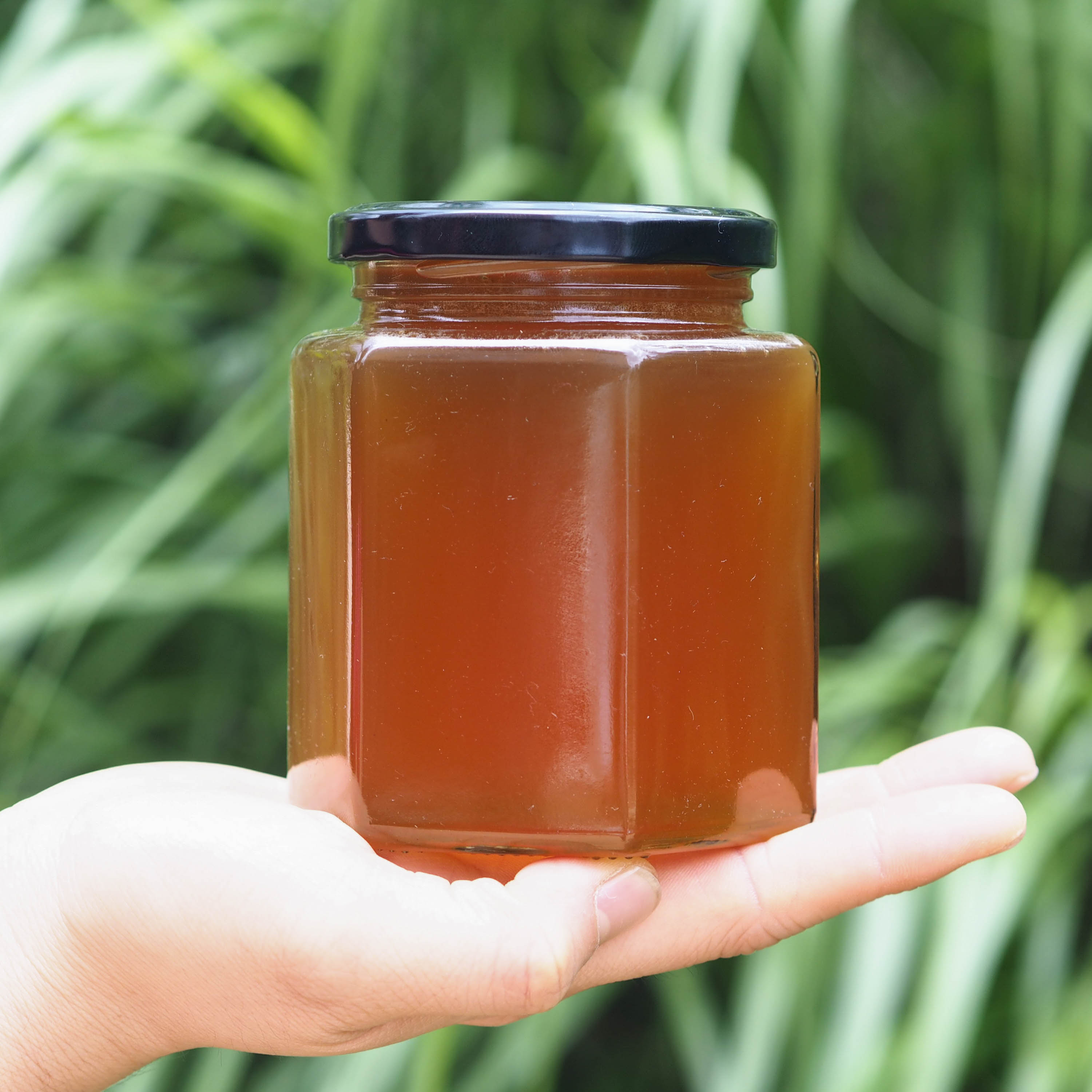 野生蜂蜜 云南 纯天然