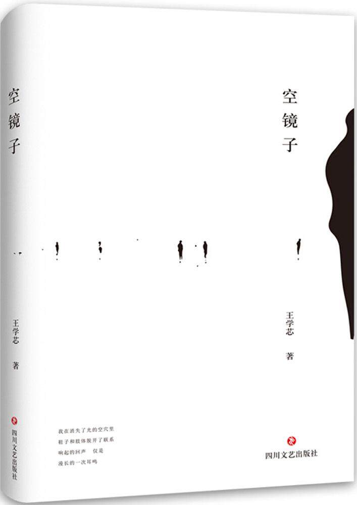 正版图书 四川文艺出版社 中国现当代诗歌文学 著 王学芯 空镜子