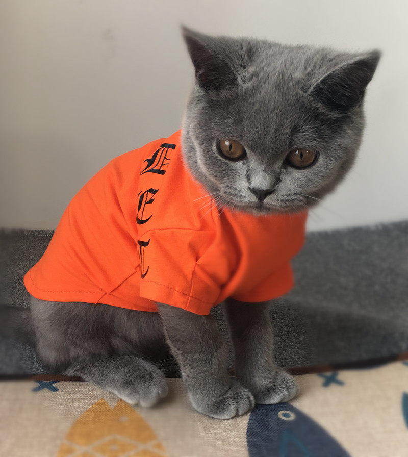 泰迪_独家手工亲子装宠物猫咪衣服幼犬泰迪纯棉猫衣服夏装薄款狗衣服