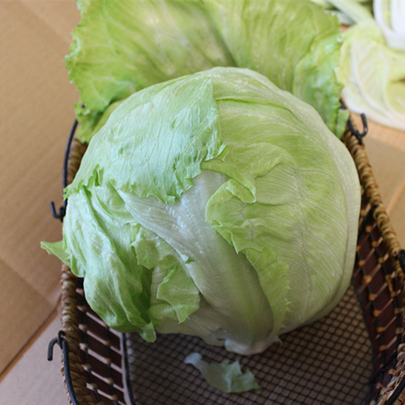 一折沙拉蔬菜_密云自产新鲜球生菜 圆生菜 农家大粪无公害沙拉西生菜