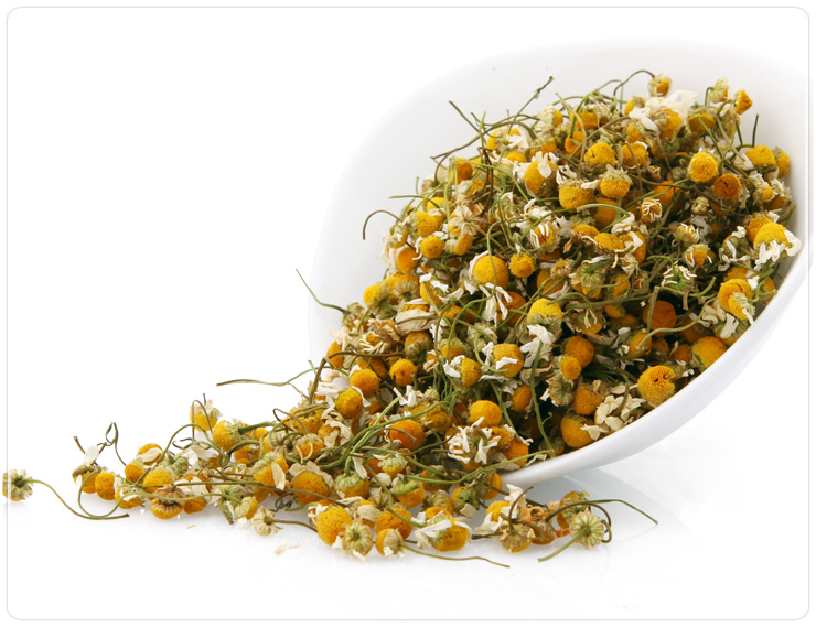 德国进口洋甘菊茶