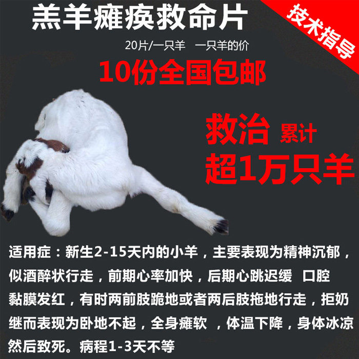 中长款_兽用 羊瘫痪 急救片兽药羔羊瘫软白肌病软瘫灵膏小羊软骨灵软
