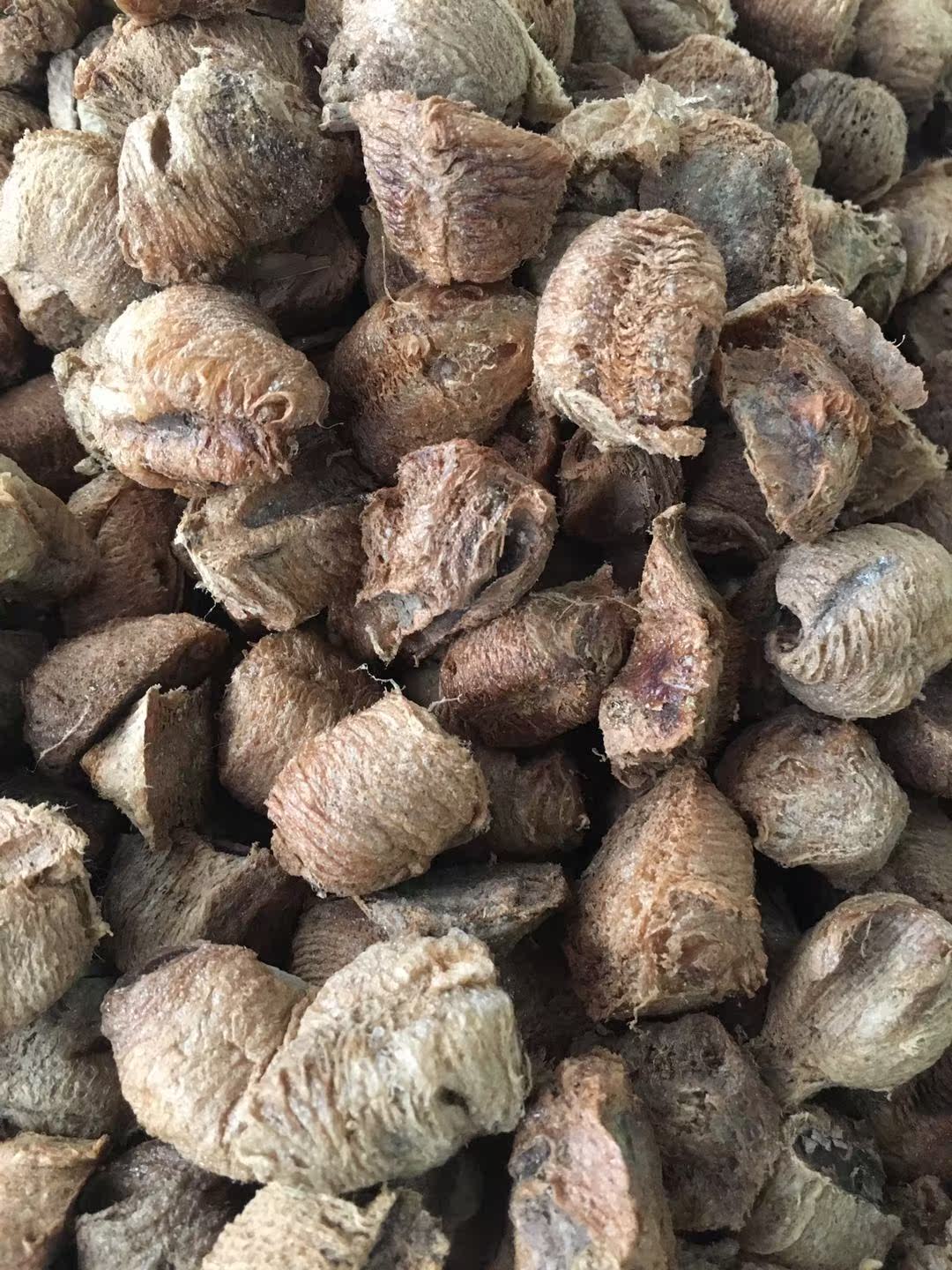 螳螂子刀螂子优质正品 熟桑螵蛸 桑蛸 熟桑螵蛸250克 柳科1中要材