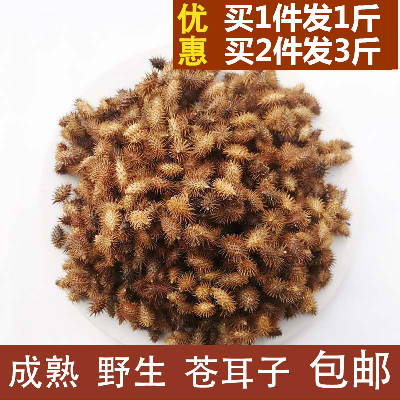 苍耳子鼻油_成熟苍耳子泡脚鼻油带刺毛苍耳草种子新品正宗野生药材500