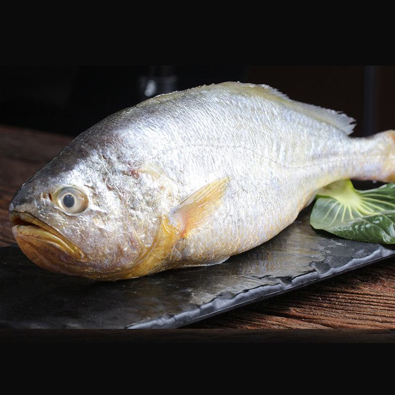 深海野生大黄花鱼东海黄鱼海鱼新鲜冷冻鲜活鱼