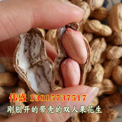 花生高产鲁花11号丰花海花1号大小白沙花生种 带壳可生芽苗