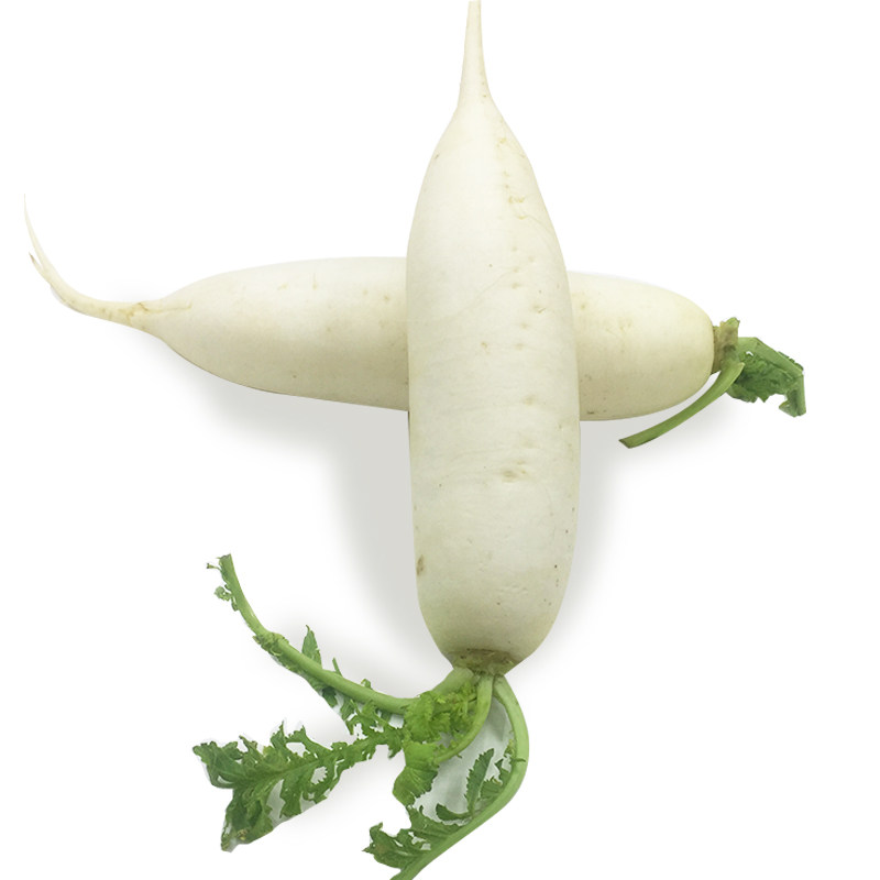 食惠美 新鲜蔬菜白萝卜参象芽大萝卜农家现挖水份多4斤装包邮