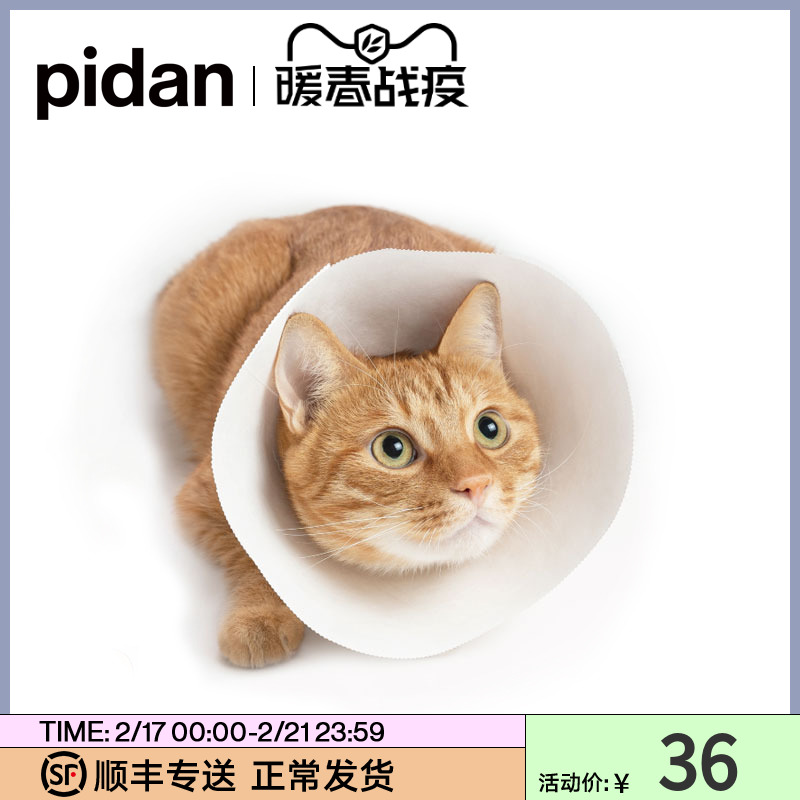 伊丽莎白猫圈防抓咬防舔脖圈美容保护头套宠物兔子耻辱项圈狗脖套