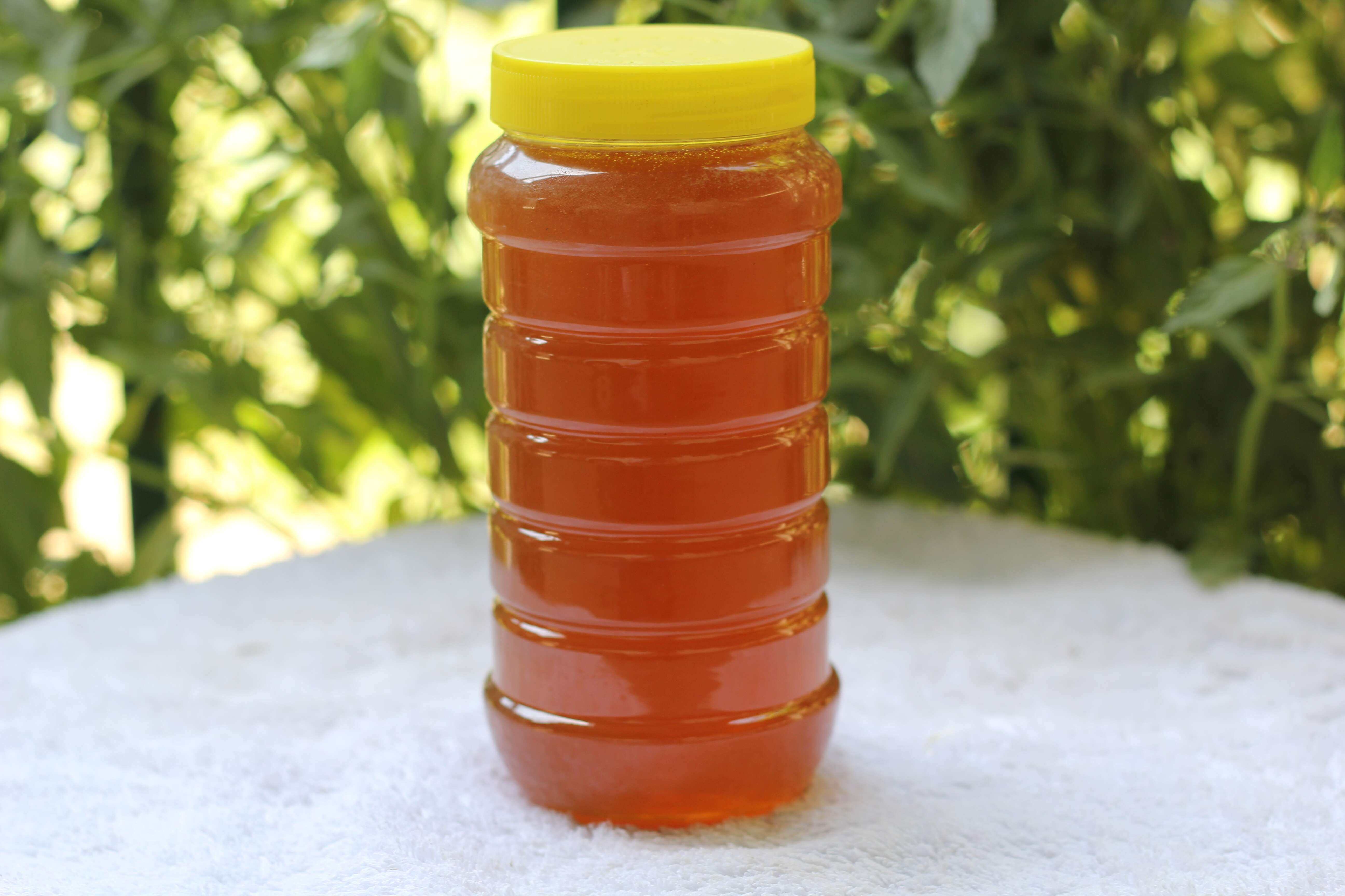 蜂蜜农家自产枣花蜜大额优惠券