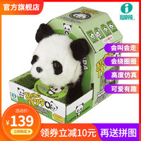 538牛牛精品视频播放 99牛牛在线视频精品 牛牛经典视频播放