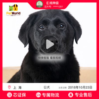 好吊色在线视频 绝色千金在线观看 绝色千金电视剧百度云