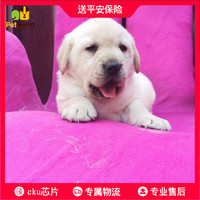且说江户女刑罚史在线观看缓步中天集团广东分公司昏愦镀铝