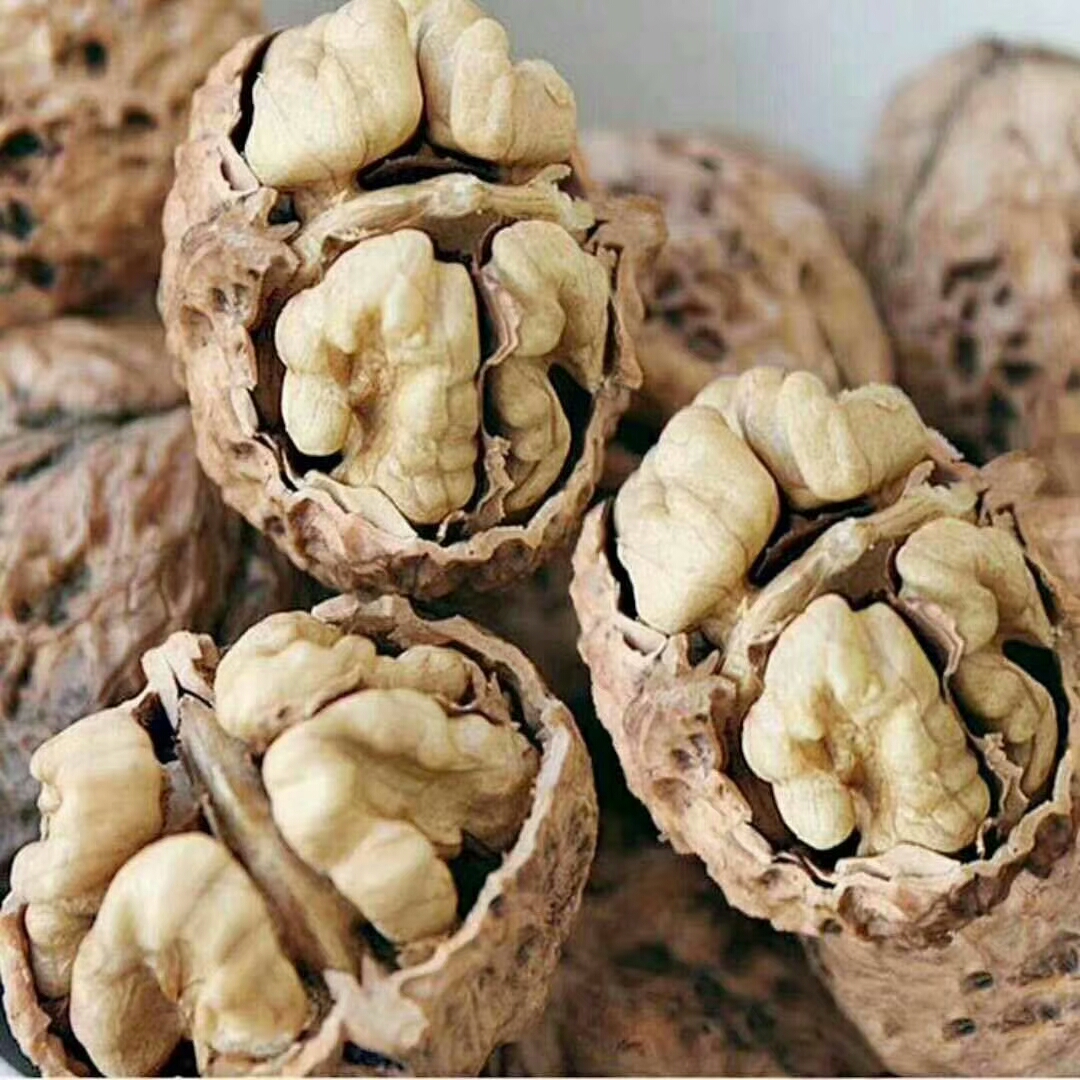 纸皮核桃 新货 薄壳