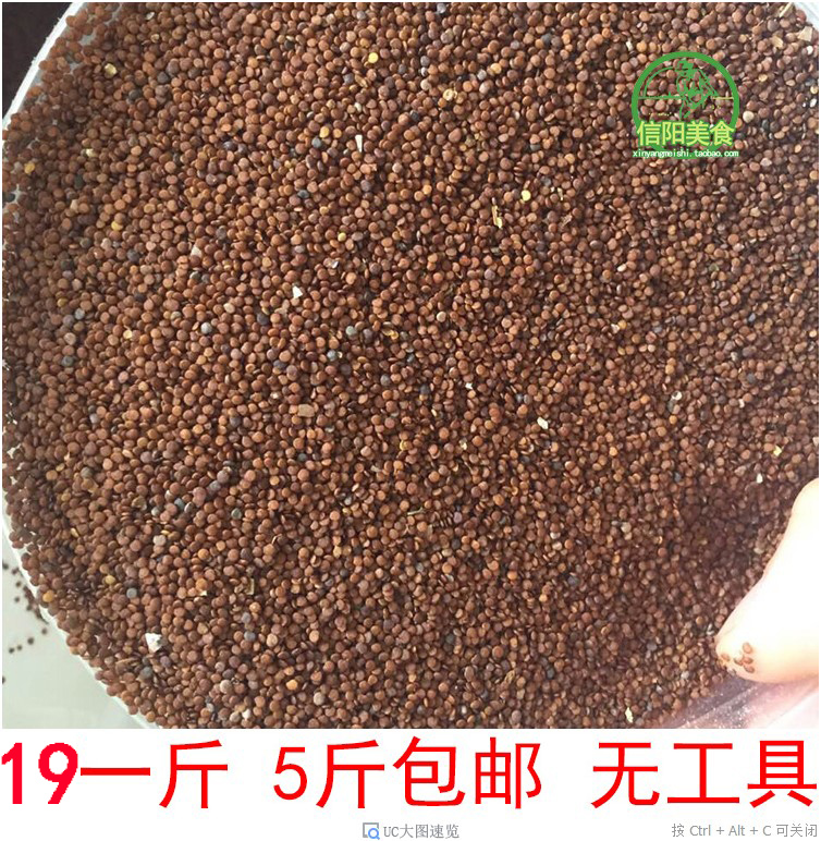 5斤包邮 无工具 石花籽 石花粉 石凉粉 假酸浆 野生冰粉籽500g