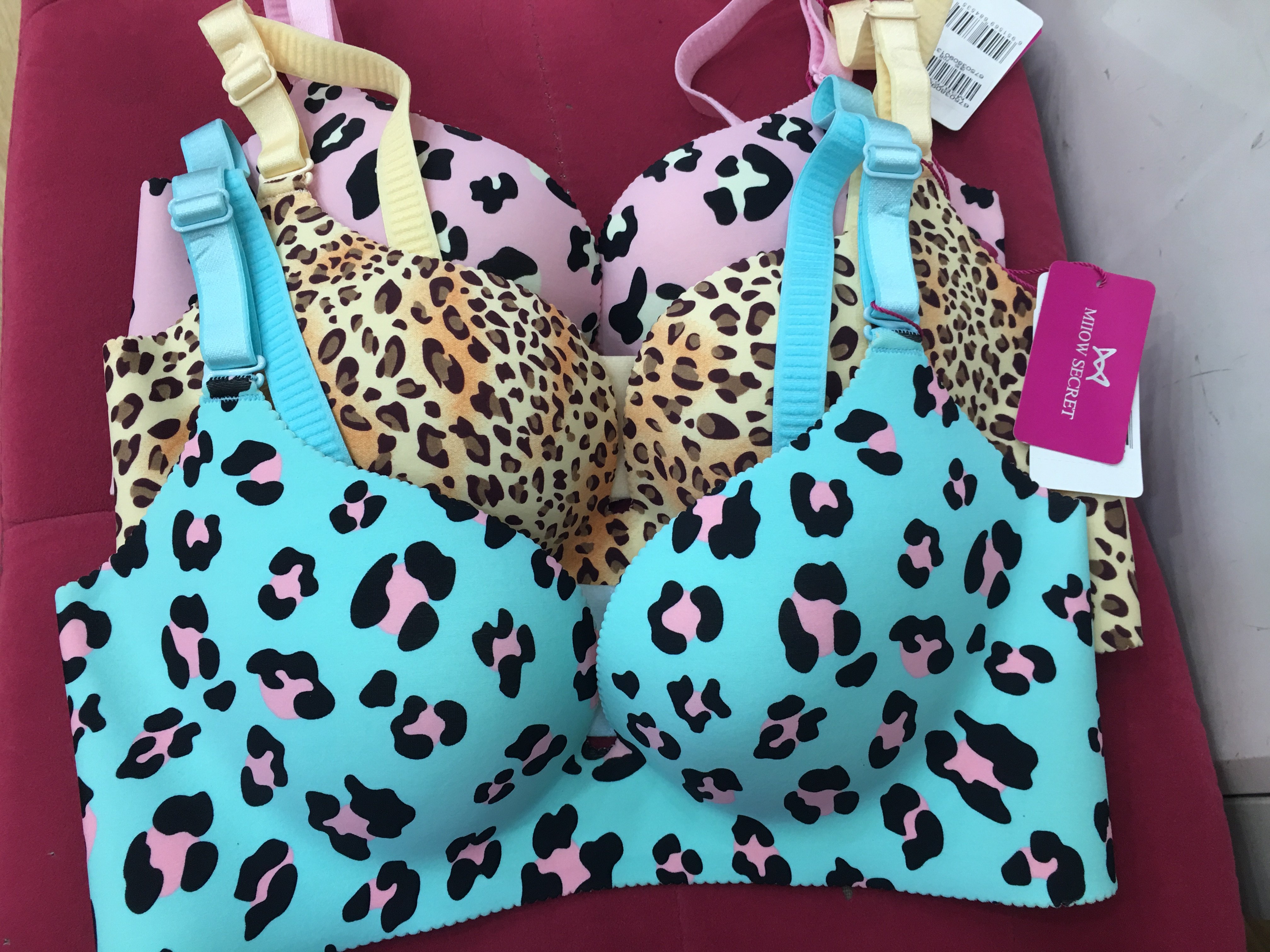 热销猫人内衣 女士 文胸