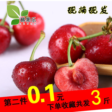 大樱桃山东烟台车厘子新鲜当季露天大红灯孕妇水果现摘现发