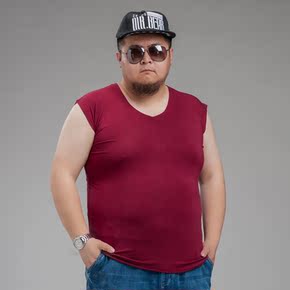 沙力 tcl相关问答