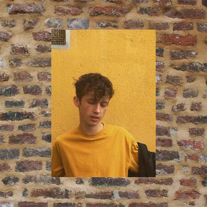 墙贴满墙_troye sivan海报d788/999款 满8张包邮 a3周边墙贴特洛伊