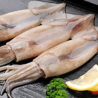新鲜鱿鱼鲜活海鲜水产冷冻大犹鱼整只500g生尤鱼八爪鱼烧烤食材