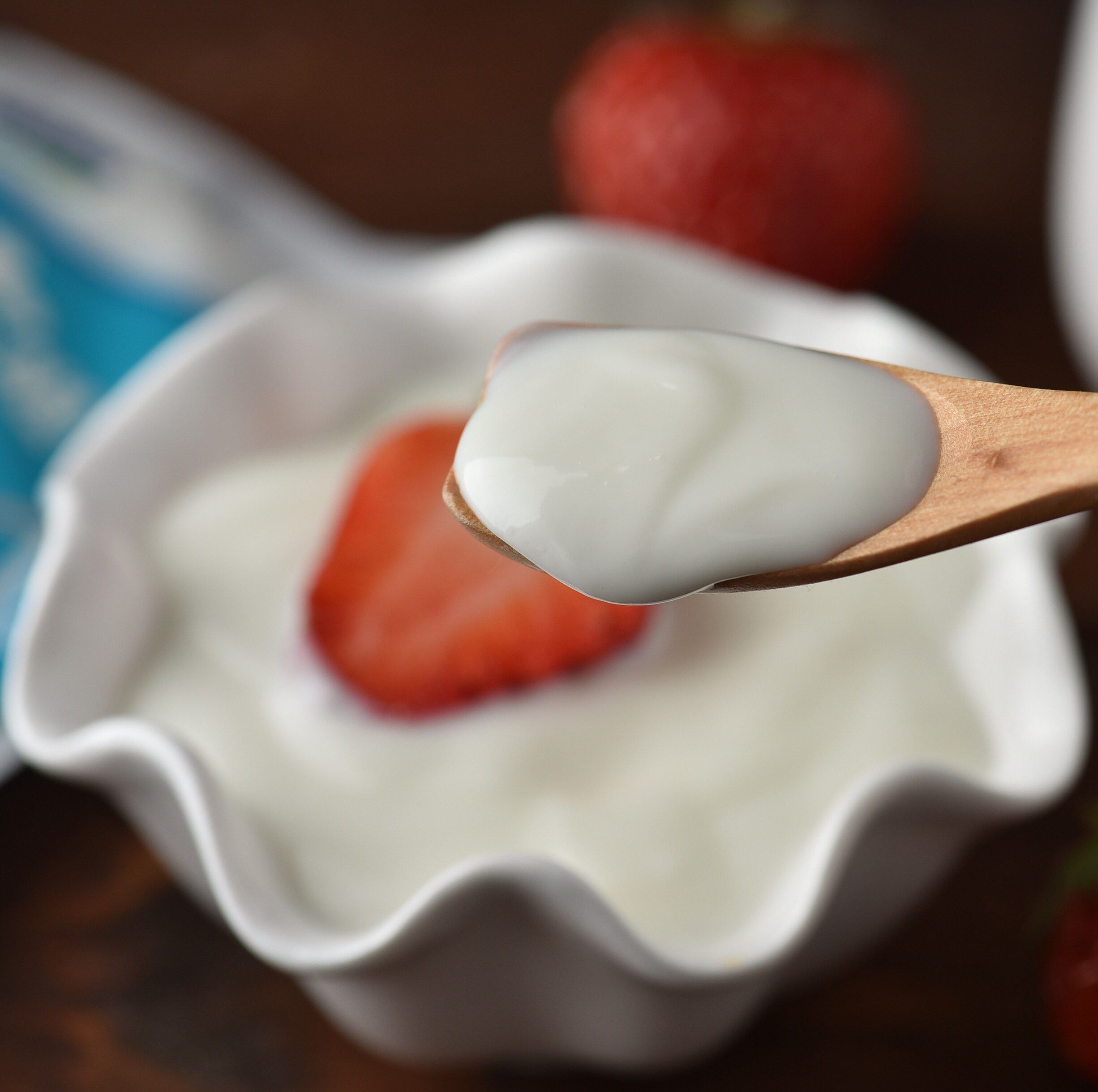 君乐宝浓缩酸奶芝士风味益生菌发酵乳牛奶整箱