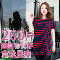 2019理论电影完整版在线 手机理论电影在线观看 2018理论电影免费观看