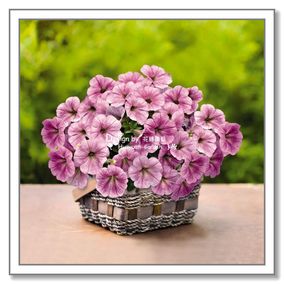 【德国人评价长津湖战役价格】2019最新德国