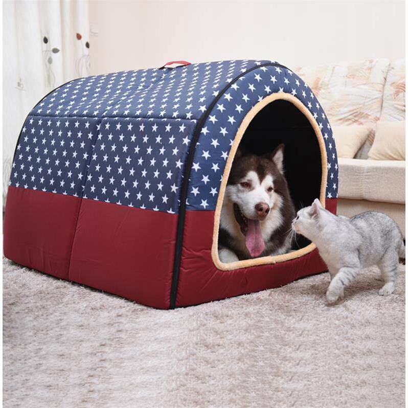 狗窝大型犬 室内萨摩