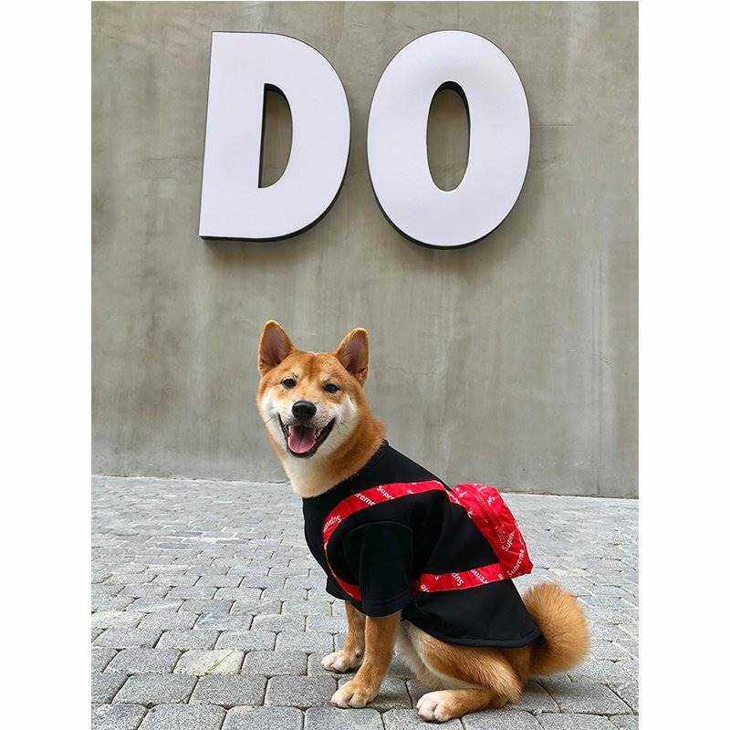 加绒_宠物亲子装秋冬ins小狗狗衣服潮中小型犬泰迪柴犬加绒卫衣带书包