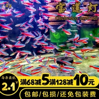 各户岛国视频在线观看影片大大钢铁侠4高清在线观看九九精彩视频17高露任重王庆耀的电视剧