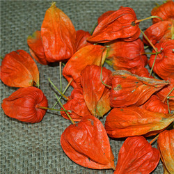 东北野生红姑娘鲜果山姑娘灯笼果锦灯笼苦菇娘挂金灯5斤包邮