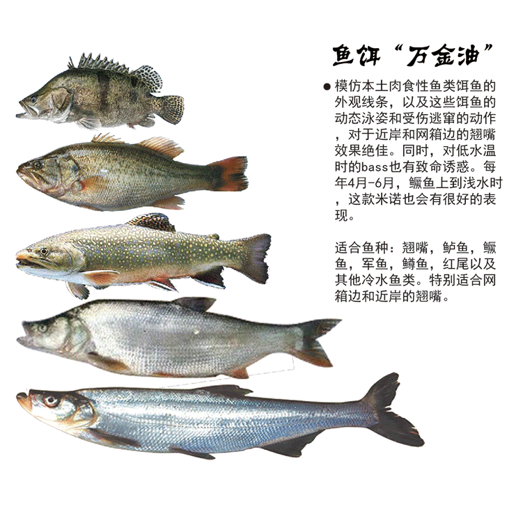 热销美夏ewe 银鳞s65s缓沉假饵米诺路亚饵 翘嘴鲈鱼鳜鱼桂鱼饵