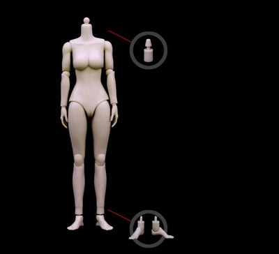 1/6兵人白色大胸中胸女素体n001 n002 现货绘画临摹素材模型