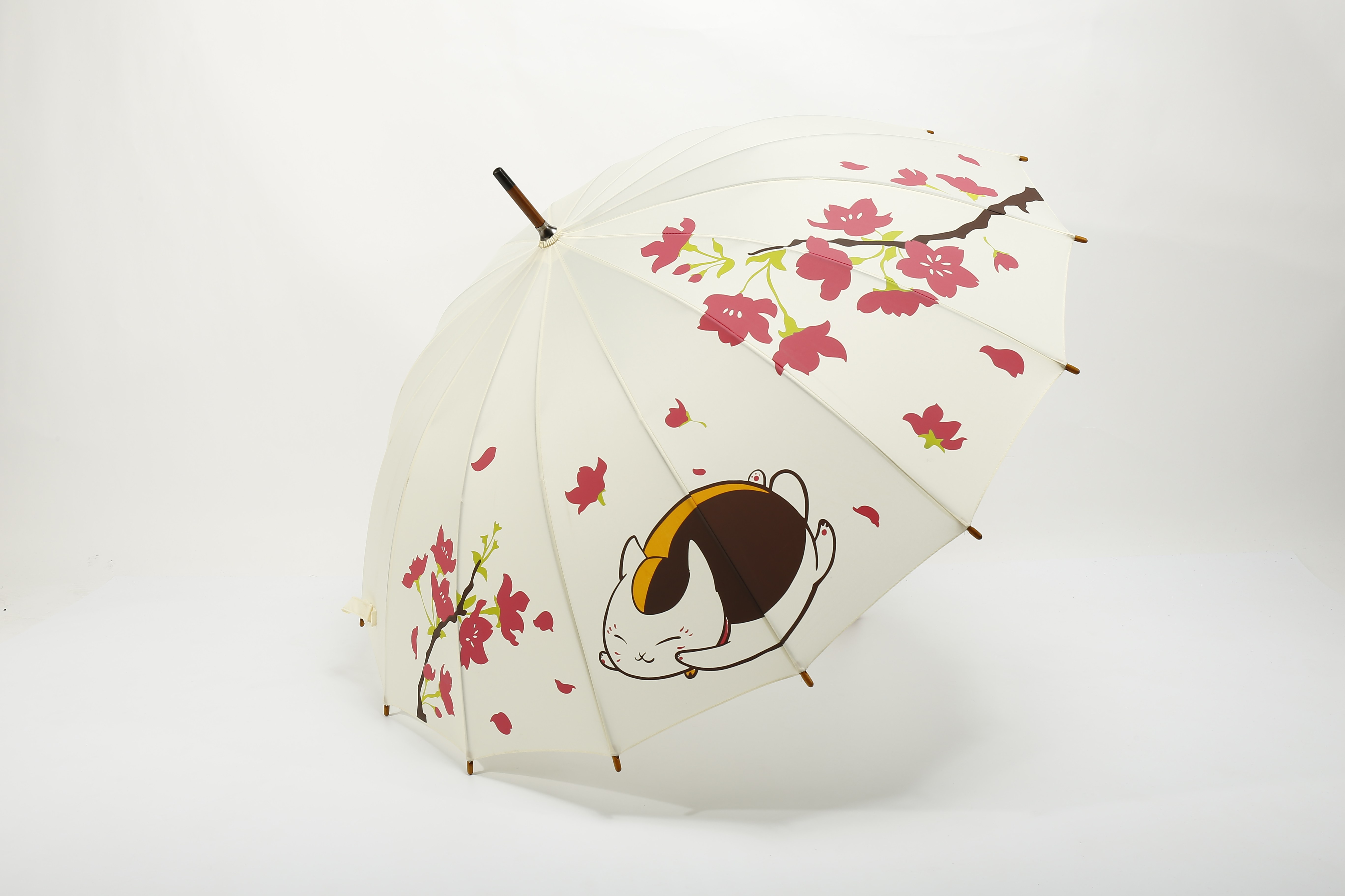 热卖宫崎骏动漫16骨自动龙猫伞超大晴雨两用伞浪漫樱花猫咪长柄伞