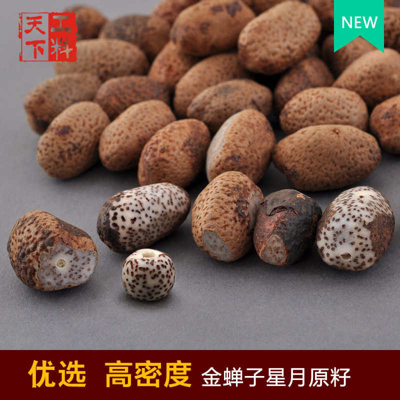 星月菩提子原籽大额优惠券